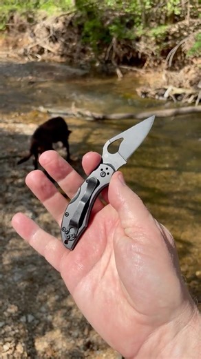 The Byrd Robin 2, by Spyderco