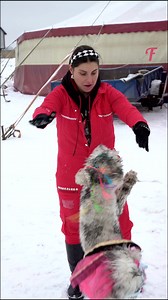 6.8K views · 32 reactions | Circus Poodle Cast Out onto the Pavement #FabiosaAnimals #Fabiosa #animals #dog #kindness | Fabiosa India | Facebook