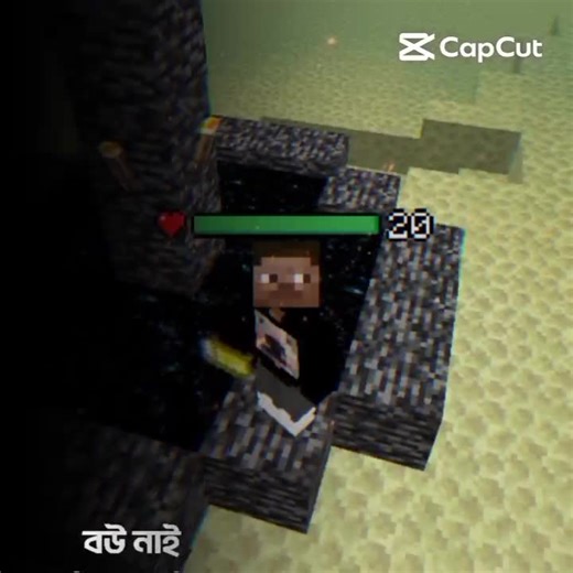 Sadlife #minecraftmeme #viral #trending