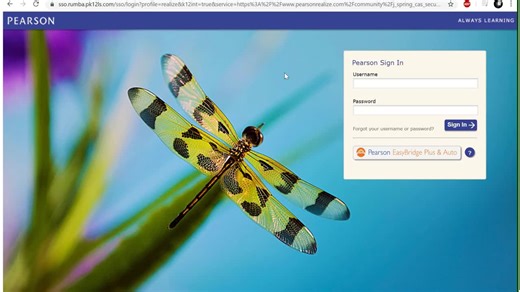 How to use Pearson Realize as a student