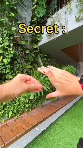 How to Do the Finger Cutting Trick? Magic Revealed! ✂️😱 #magic