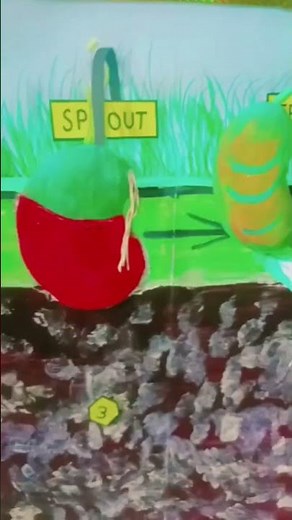 in this video how to make plants life cycle ☘️ working model # biomodel #craft#workingmodel #botany