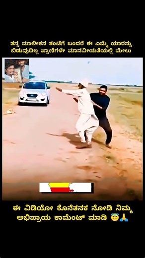 ಎಷ್ಟು ಜೀವ ಇದೆ ನೋಡಿ ಎಮ್ಮೆ..