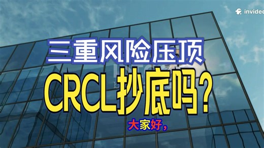 CRCL深度剖析：是否值得捞底？本视频通过基本面分析，评估CRCL的投资价值，判断是否适合抄底。采用基本面分析法，结合摩根大通看空报告、Circle招股书及S-_哔哩哔哩_bilibili