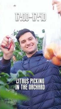 An Underrated China Travel Experience — Meishan Is Worth the Trip