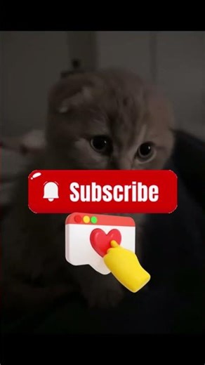 ⁉️НИКОГДА НЕ ЗАЛЕЗАЙ В ДИНОЗАВРА‼️