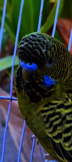 Happy Sunday . . . . . . 🖤 | Imran Khan