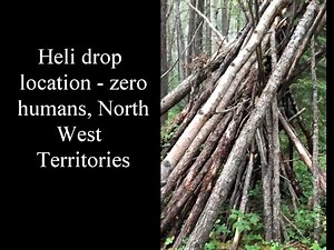 IMPORTANT *NEW* 3/18/2023 Forestry Professionals Coming Clean With Sasquatch And More (vid included)