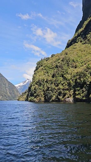 First trip of the season !! What a magic day to start ✨️ | Doubtful Sound Kayaks | Facebook