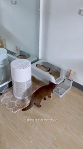 23K views · 477 reactions | Cat parents know the struggle  Try the new Simplus Air Purifier for a cleaner and healthier home  | TOFU | Facebook