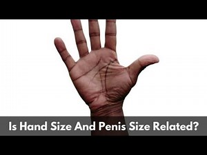 Is Hand Size Related To Penis Size?