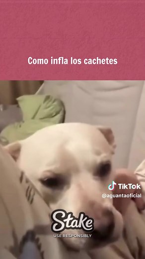 Como infla los cachetes