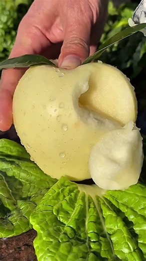 Ultra loop fruit cutting you'll replay this #shorts