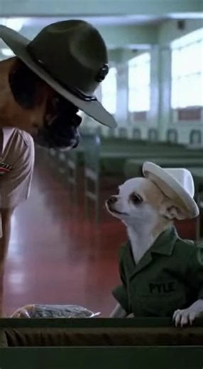 RIP - R Lee Ermey, in my opinion quite possibly the best actor for this movie scene ever. Full Metal Jacket, Boot camp. #dogs #fyp #meme #marines