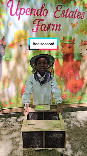 Bee Therapy Dome: Turning Hyperfixations into a Healing Apiary