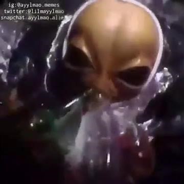 alien smoking weed dope video