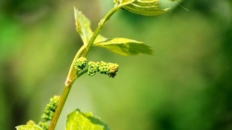 摩恩垃圾处理器维修中心|24小时全国统一售后受理中心电话4008899746