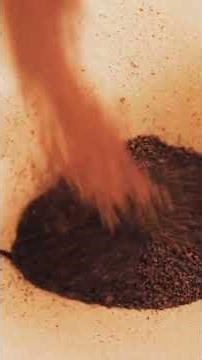 Fastest 5-Cup Home Coffee Maker Review – Best Temp Control & Flavor Tips