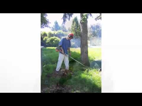 PDSA Cycles: From CLABSIs to Cucumbers