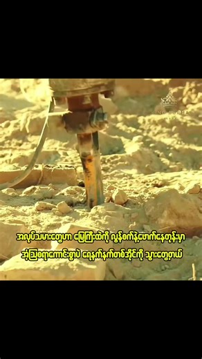 မိသားစုကြားက မြွေနှင့် ဒရှင်များ