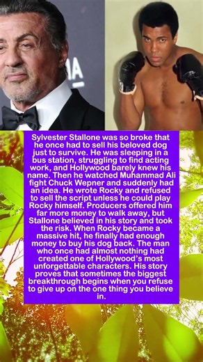 The Heartbreaking True Story of Why Sylvester Stallone Had to Sell His Dog