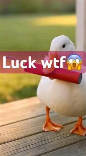 #memes #funny #soundeffects #👉 The troublemaking duck