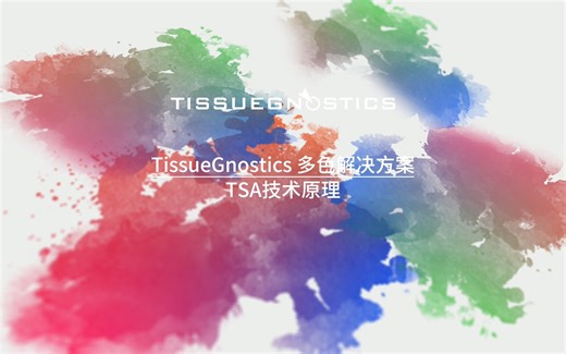 TissueGnostics多色解决方案——TSA技术原理