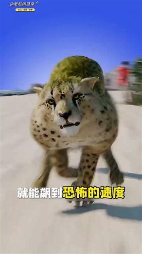 Hyperthyroidism Guy vs. Cheetah @ZeckFelms #fitness #bodybuilding #weightlifting #muscle #strengt...