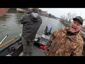 Jumbo Brown trout on the Oswego River!