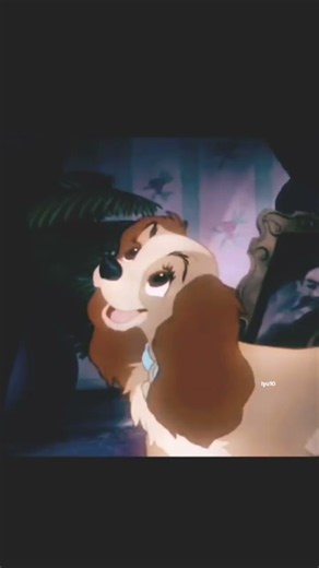 lady edit lady and the tramp #disney #ladyandthetramp #old disney #fromuponpoppyhill