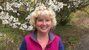 Welcome to HBI 103 - Human Biology Overview