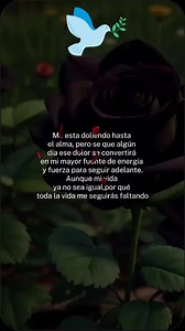 Jareth Apalt on Reels