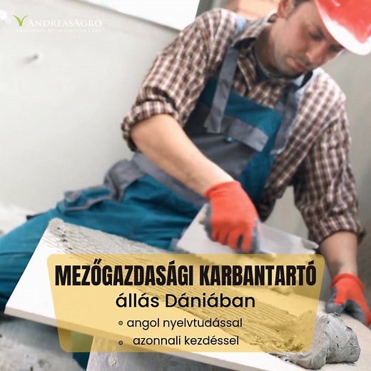 Jelentkezés: https://andreasagro.com/jelentkezes/ Mezőgazdasági karbantartó állást kínálunk Dániában, AZONNALI KEZDÉSSEL hosszútávra. A feladat mezőgazdasági épületek karbantartása, korhadó fák eltávolítása, láncfűrészes feladatok, aratáskor gabona- és szalmás kocsik kezelése, traktorvezetés. Elvárások: • Legalább alapszintű angol nyelvtudás • Épületkarbantartásban, felújításban szerzett releváns tapasztalat • Traktorozásban, láncfűrészezésben szerzett tapasztalat • Jó munkabírás, jó fizikum • B
