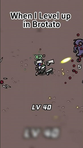 When I level up in Brotato