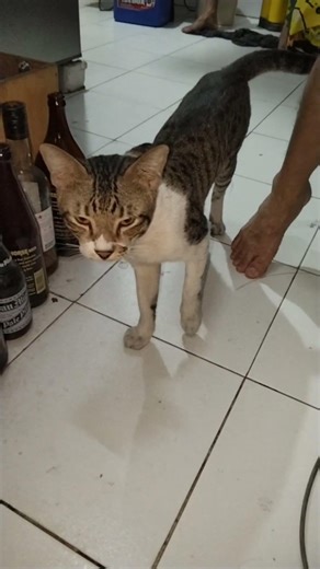 may konting repair tayo mga idol washing machine #subscribers