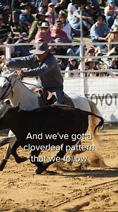 44K views · 450 reactions | We asked Pete Comiskey to explain the sport of campdrafting, ready for the @aus_campdraft_assn_inc finals, which start this week. We're looking forward to seeing Team Ariat Campdrafters compete throughout the week in Dalby. #AriatAus #AriatAustralia #Campdrafting #TeamAriat | Ariat Australia | Facebook