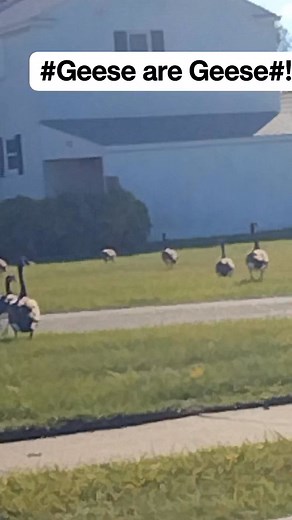 Elsie Robinson on Reels