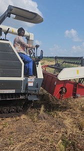 feed salone Good morning | SL News Blog