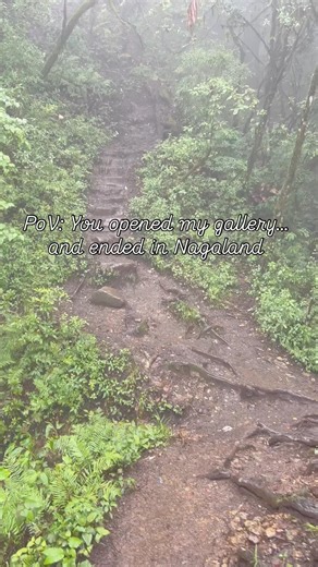 POV: you’re travelling through Nagaland with me 🌿✨ #shorts