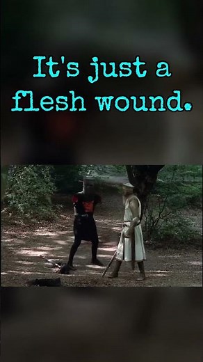 It's just a flesh wound #montypython #movie #fyp #shorts
