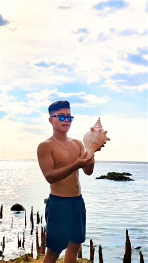 huge gastropod shell #giant #satisfying #amazing