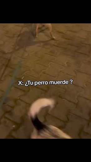 7.2K views · 117 reactions | Not My Problem on Reels | Facebook