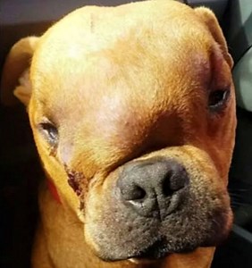 53K views · 1.3K reactions | “Just not the blows again, not the rough...