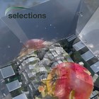 Manual Apple Scratter Pulper Fruit Crusher Press Cider Making Crushing Machine  | eBay UK