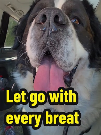 An ASMR Journey to Relaxation with Johnny