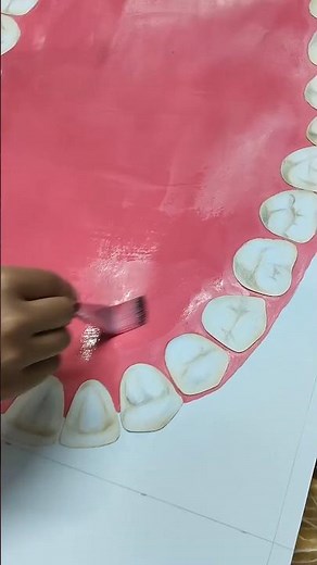 FDI Tooth Numbering System 🦷 | Advantages vs Disadvantages