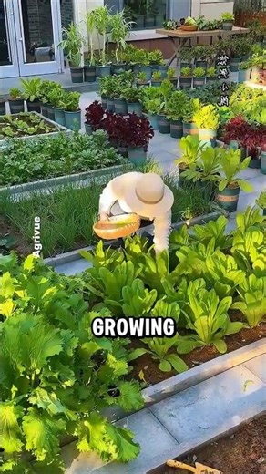 How This Family Turned Their Front Yard into a Beautiful and Productive Garden