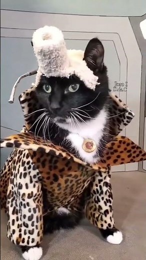 Ruby Rhod has her doppelganger, the very green cat #joro7