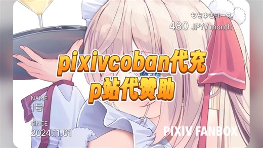 pixiv赞助 fanbox代赞助 海淘代购 visa paypal代付 pixivcoban代充