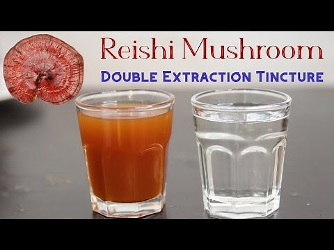 Reishi Mushroom Double Extraction Tincture: Bioactive Compounds, One Pot Method, Alcohol Reuse